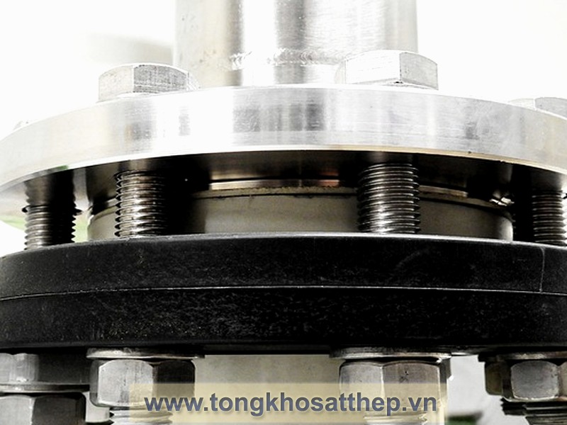 Bích Rỗng Inox DN100 (Weld Neck Flange) gallery 1