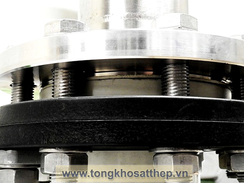 Bích Rỗng Inox DN100 (Weld Neck Flange) gallery 3