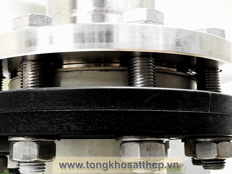 Bích Rỗng Inox DN150 (Inox 316L) gallery 1