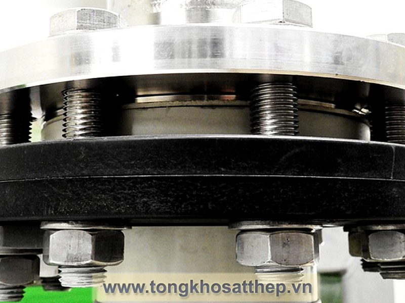 Bích Rỗng Inox DN150 (Inox 316L) gallery 2