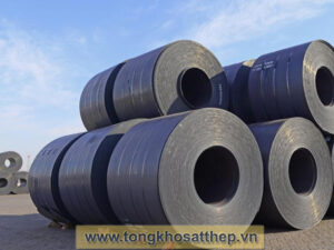 Thep cuon can nguoi 1008 02
