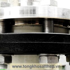bich rong inox dn150 inox 316l 4