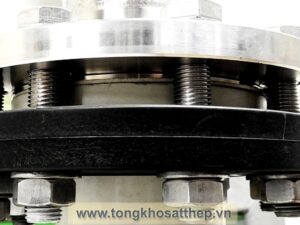 bich rong inox dn150 inox 316l 4