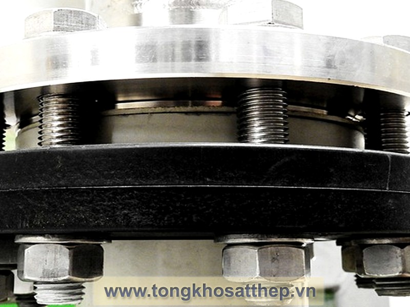 bich rong inox dn150 inox 316l 4
