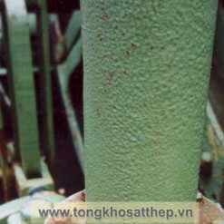 bich thep rong dn100 2