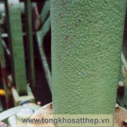 bich thep rong dn100 3