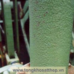 bich thep rong dn100 4