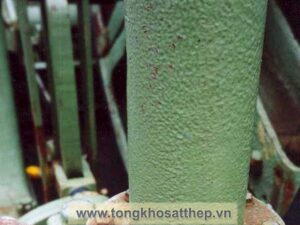 bich thep rong dn100 4