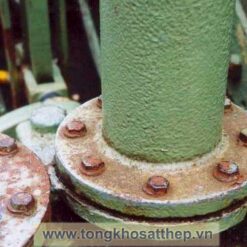bich thep rong dn250 3