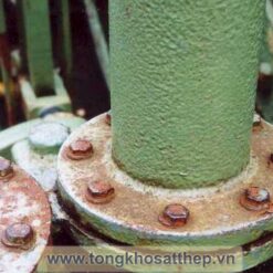 bich thep rong dn250 4