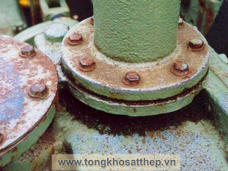 bich-thep-rong-dn400-2 bich thep rong dn400 2