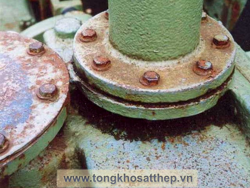 bich-thep-rong-dn400-3 bich thep rong dn400 3
