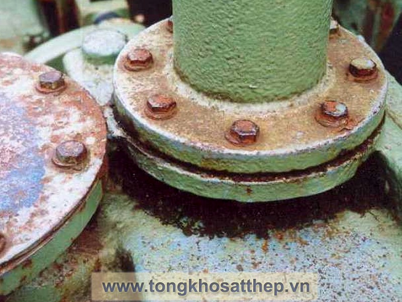 bich-thep-rong-dn400-4 bich thep rong dn400 4