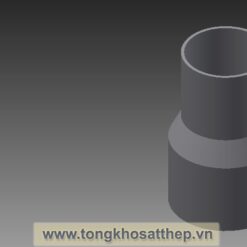 giam thep dn50x32 dong tam 3