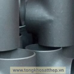 te inox dn80x50 te giam 3