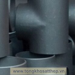 te thep dn125 2