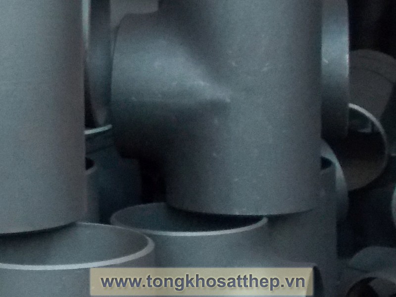 te-thep-dn125-2 te thep dn125 2