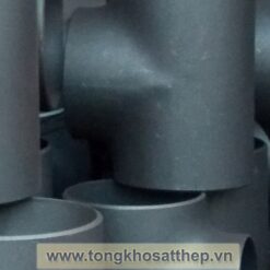 te thep dn125 3