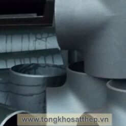 te thep dn65 2