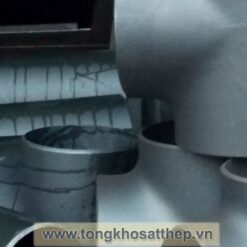 te thep dn65 4